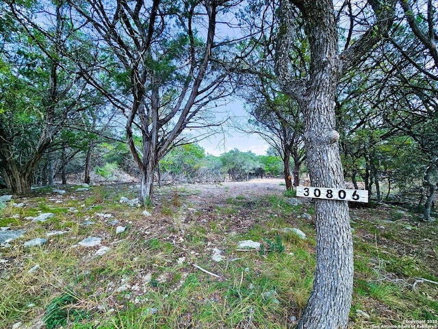30806 Bulverde Hills Dr, Bulverde, TX 78163