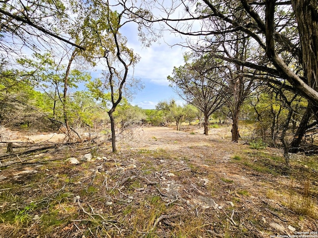 30806 Bulverde Hills Dr, Bulverde, TX 78163