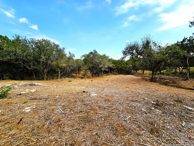 30806 Bulverde Hills Dr, Bulverde, TX 78163