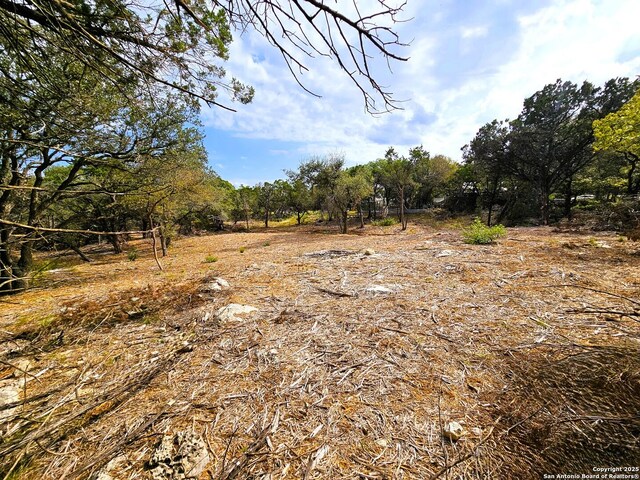 30806 Bulverde Hills Dr, Bulverde, TX 78163