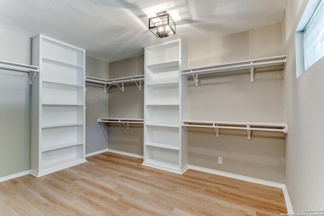 walk in closet featuring hardwood / wood-style flooring