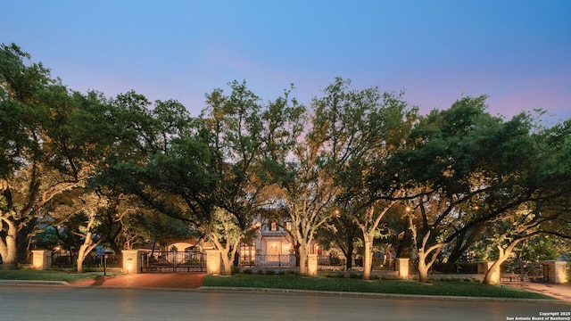 200 Geneseo Rd, Terrell Hills, TX 78209 - view of property hidden behind natural elements featuring a fenced front yard and a gate