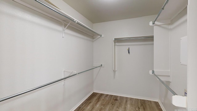 spacious closet featuring hardwood / wood-style floors