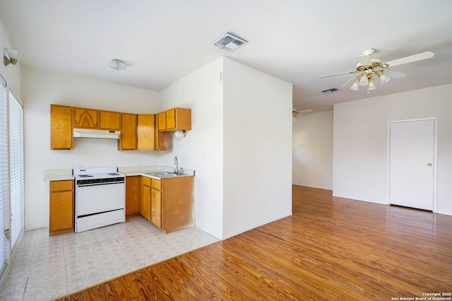 kitchen featuring range with electric stovetop, ceiling fan, sink, and light hardwood / wood-style floors