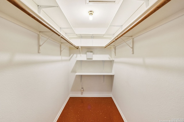 view of spacious closet