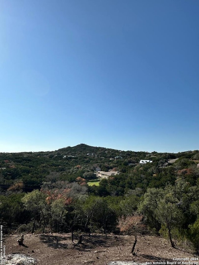 444 Herauf Dr, Canyon Lake TX, 78133 land for sale