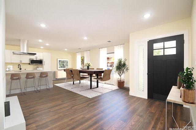 foyer with sink and dark wood-type flooring