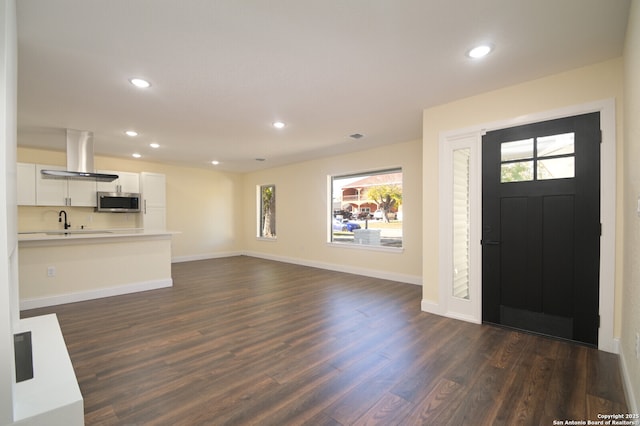 entrance foyer featuring sink and dark hardwood / wood-style floors