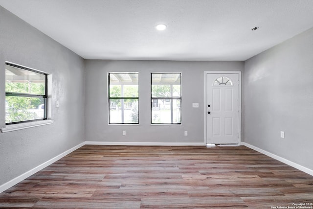 foyer entrance with hardwood / wood-style floors