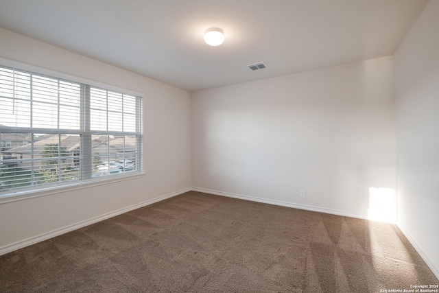 spare room featuring carpet floors