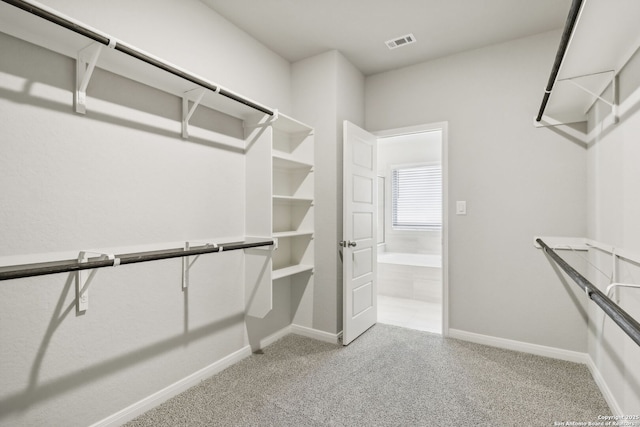 walk in closet with light colored carpet