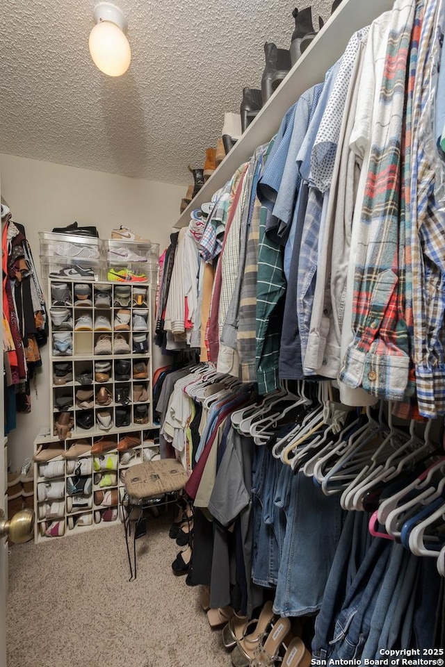 walk in closet featuring carpet