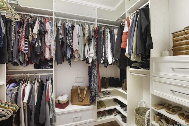 view of spacious closet