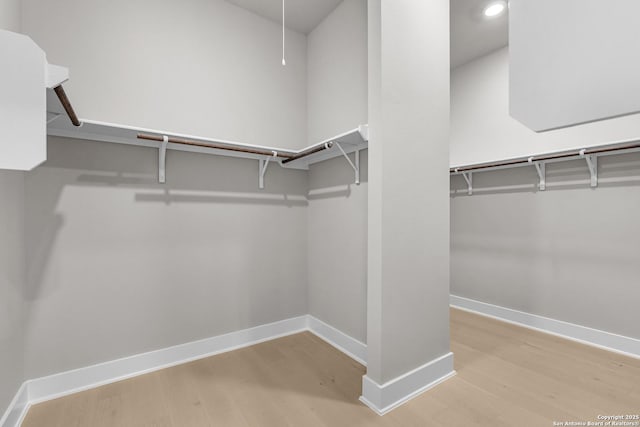 walk in closet with light wood-type flooring