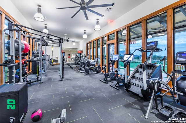 exercise room with plenty of natural light and ceiling fan