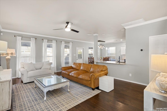 living room with ceiling fan with notable chandelier, dark wood-type flooring, ornamental molding, and sink