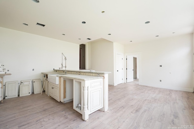 kitchen with sink and light hardwood / wood-style flooring