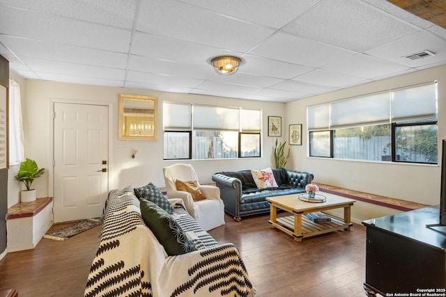 living room featuring a drop ceiling, dark hardwood / wood-style flooring, and a wealth of natural light