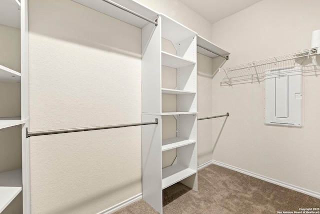 spacious closet featuring carpet floors and electric panel