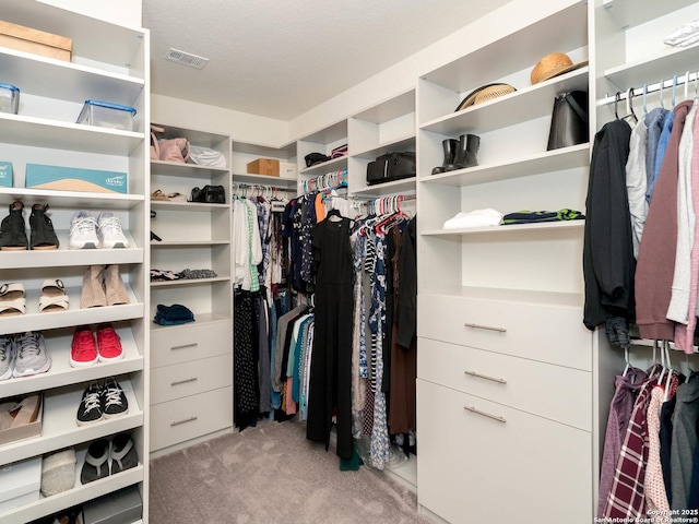 walk in closet with light colored carpet