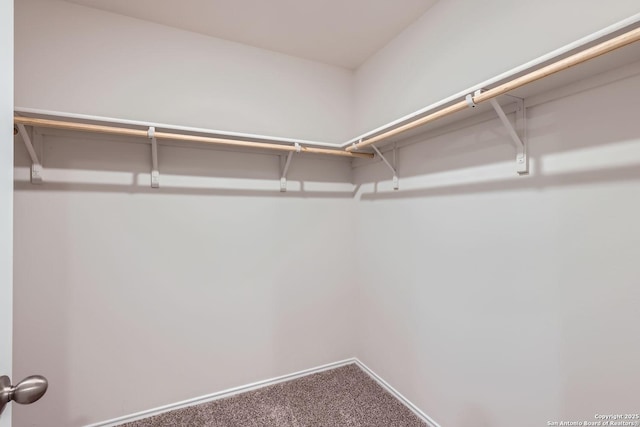 2917 Brogan Crk, New Braunfels, TX 78130 - spacious closet with carpet