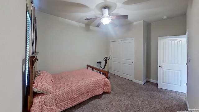 bedroom with ceiling fan and carpet floors