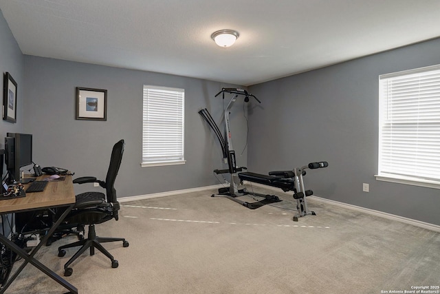 office with carpet and a wealth of natural light