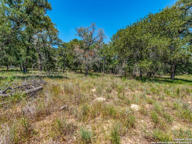 Listing photo 3 for 150 Country Pl, Seguin TX 78155