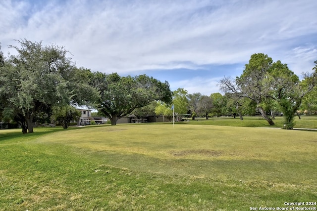 view of home's community with a yard