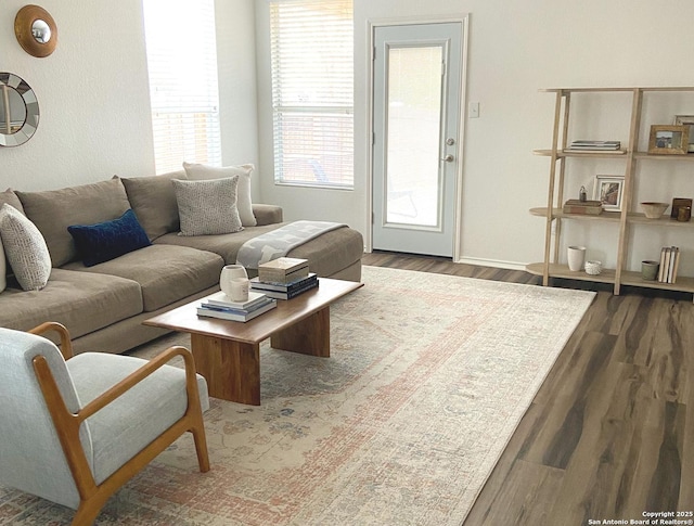 living room featuring dark hardwood / wood-style flooring