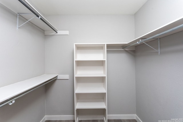 spacious closet featuring hardwood / wood-style floors