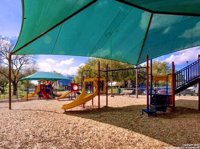 view of jungle gym