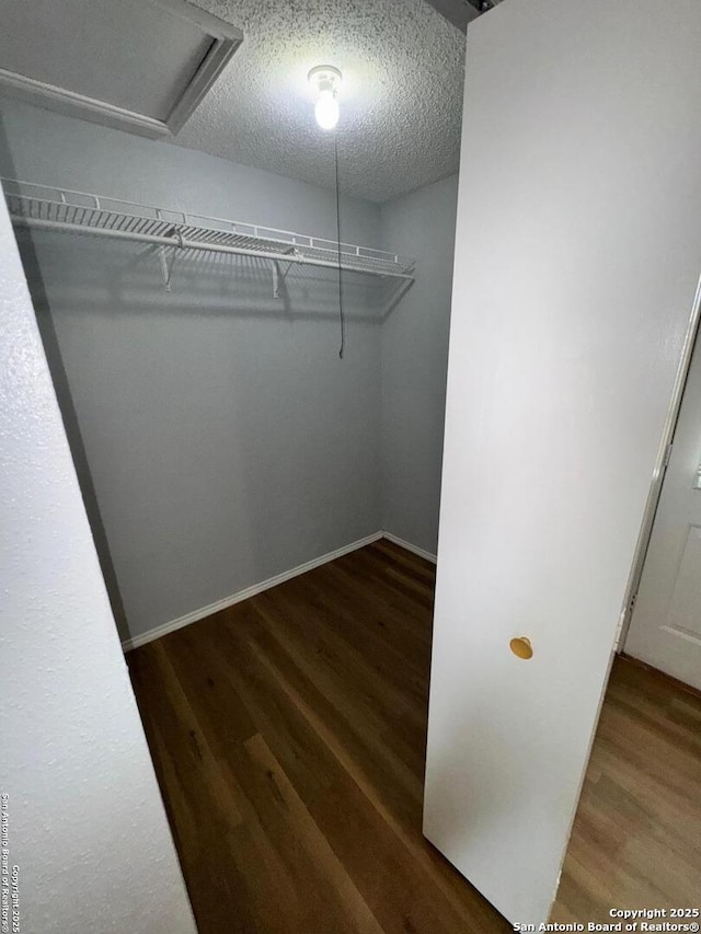 spacious closet with wood-type flooring