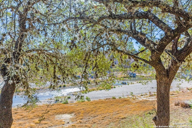 view of yard with a water view