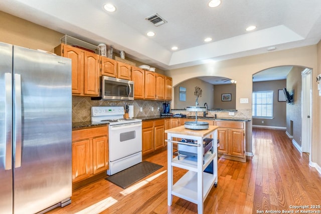 kitchen with a raised ceiling, light wood-type flooring, appliances with stainless steel finishes, and tasteful backsplash