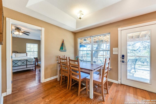 dining space featuring a tray ceiling, ceiling fan, and wood-type flooring