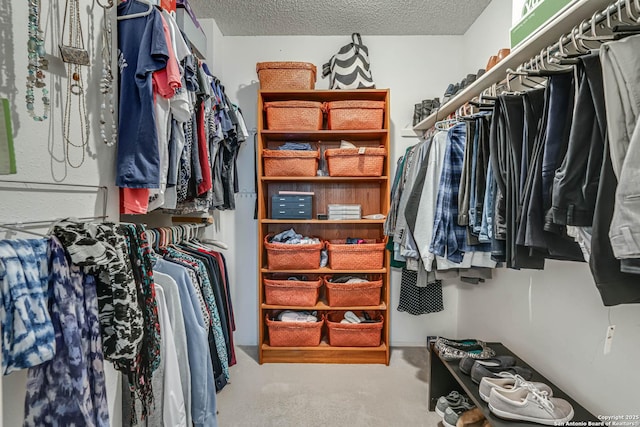 spacious closet featuring carpet