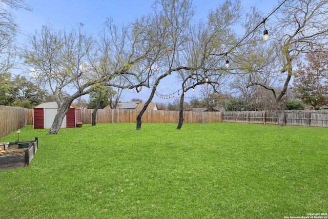 view of yard with a storage shed