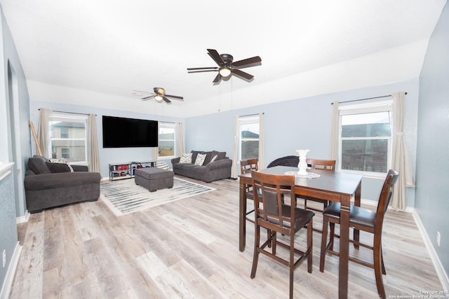 dining space with ceiling fan, a healthy amount of sunlight, and light wood-type flooring