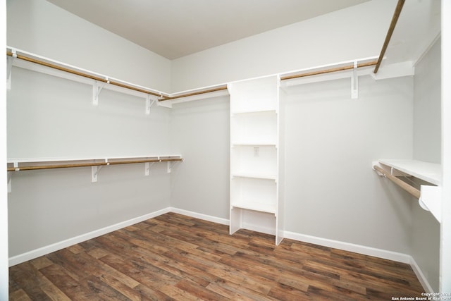 spacious closet with dark wood-type flooring