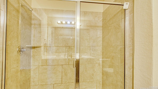 interior details featuring walk in shower