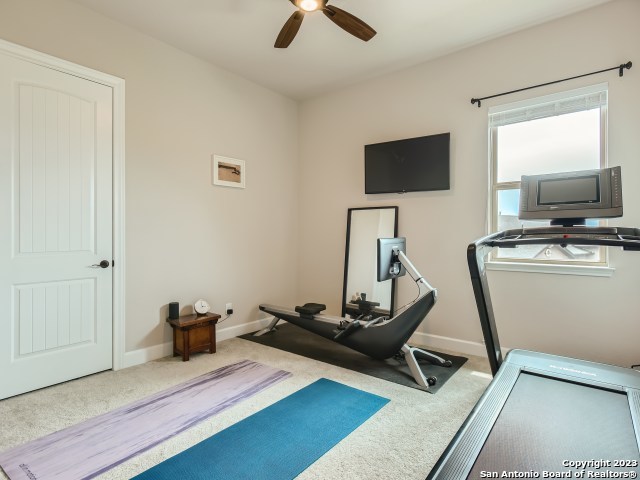 exercise room with ceiling fan and carpet