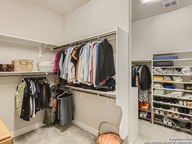 spacious closet with light carpet