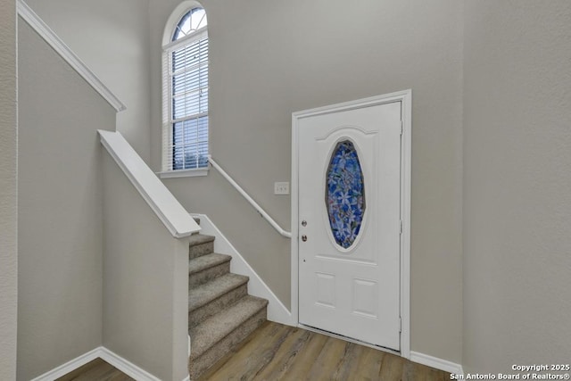 entrance foyer with wood-type flooring