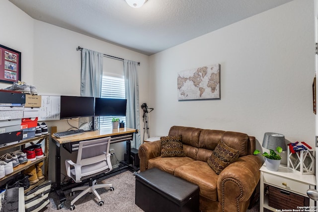 office featuring carpet and a textured ceiling