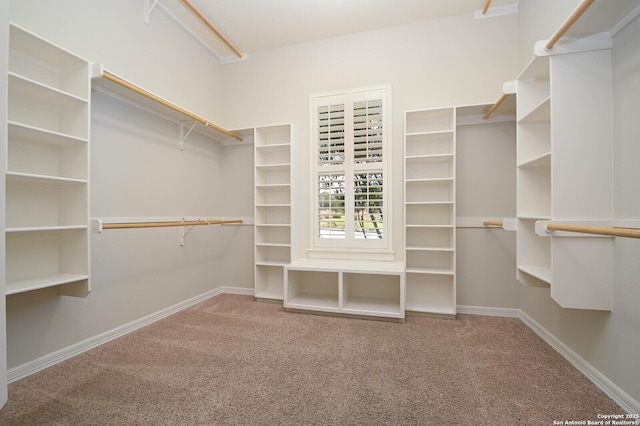 604 Hannahs Run, New Braunfels, TX 78130 - spacious closet with carpet floors