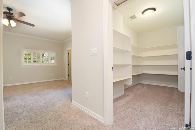604 Hannahs Run, New Braunfels, TX 78130 - view of storage area