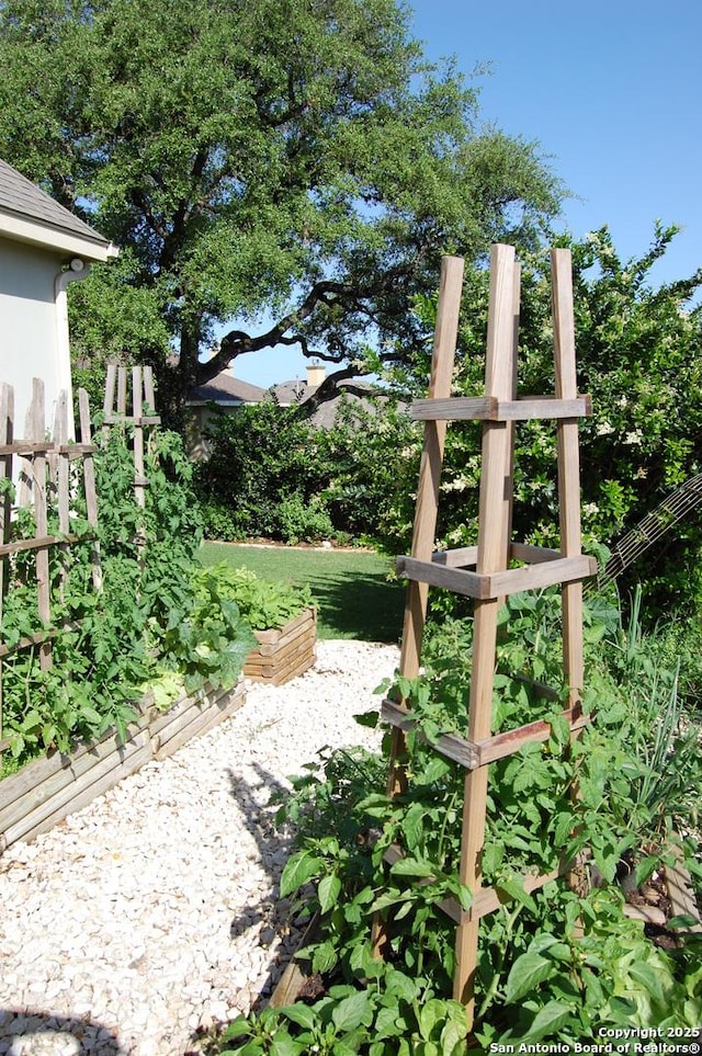 604 Hannahs Run, New Braunfels, TX 78130 - view of community featuring a vegetable garden