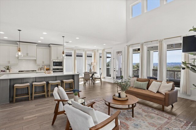 living room with hardwood / wood-style floors, a towering ceiling, and sink