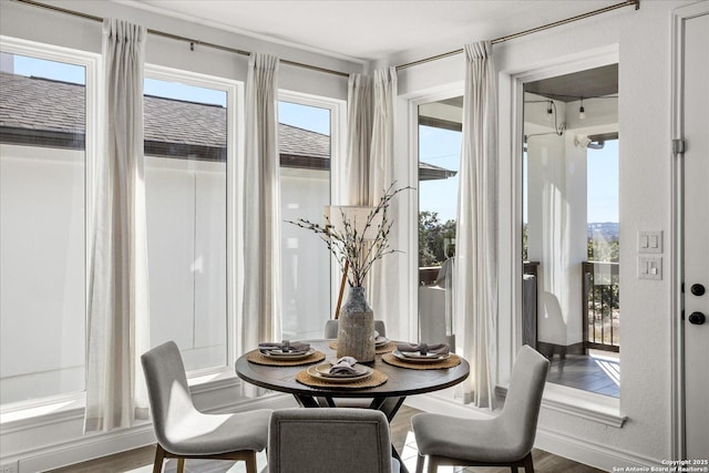 dining room featuring a healthy amount of sunlight and wood-type flooring